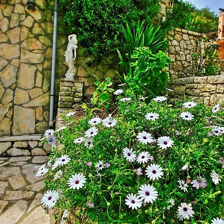 Angeliki * Nisaki (Corfu)